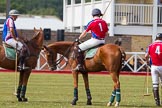 DBPC Polo in the Park 2013.
Dallas Burston Polo Club, ,
Southam,
Warwickshire,
United Kingdom,
on 01 September 2013 at 14:14, image #386