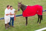 DBPC Polo in the Park 2013: The Best Playing Pony 2013 - with Phil Baker, Dawson Group Polo Team, and a groom..
Dallas Burston Polo Club, ,
Southam,
Warwickshire,
United Kingdom,
on 01 September 2013 at 19:18, image #705