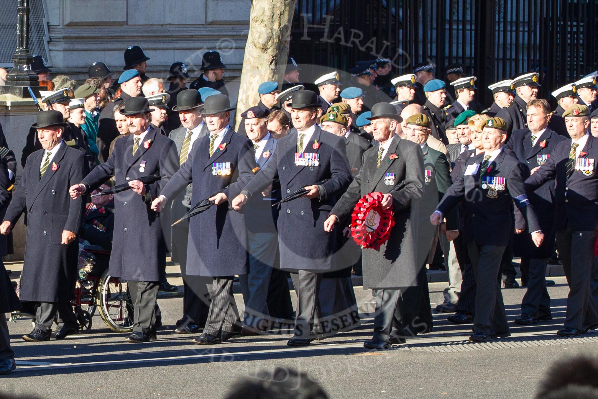 Remembrance Sunday 2012 Cenotaph March Past: Group A7 - Royal Northumberland Fusiliers, A8 - 
The Duke of Lancaster's Regimental Association, and A9 - Green Howards Association..
Whitehall, Cenotaph,
London SW1,

United Kingdom,
on 11 November 2012 at 11:49, image #593