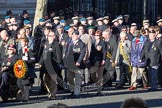 Remembrance Sunday 2012 Cenotaph March Past: Group  F15 - National Gulf Veterans & Families Association..
Whitehall, Cenotaph,
London SW1,

United Kingdom,
on 11 November 2012 at 11:47, image #503