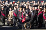 Remembrance Sunday 2012 Cenotaph March Past: Group F14 - National Pigeon War Service..
Whitehall, Cenotaph,
London SW1,

United Kingdom,
on 11 November 2012 at 11:47, image #505