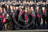 Remembrance Sunday 2012 Cenotaph March Past: Group F14 - National Pigeon War Service..
Whitehall, Cenotaph,
London SW1,

United Kingdom,
on 11 November 2012 at 11:47, image #506
