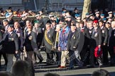 Remembrance Sunday 2012 Cenotaph March Past: Group  F15 - National Gulf Veterans & Families Association..
Whitehall, Cenotaph,
London SW1,

United Kingdom,
on 11 November 2012 at 11:47, image #512