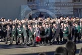 Remembrance Sunday 2012 Cenotaph March Past: Group A13 - Mercian Regiment Association, and A14 - Rifles Regimental Association, A15 - The Rifles & Royal Gloucestershire, Berkshire & Wiltshire Regimental Association..
Whitehall, Cenotaph,
London SW1,

United Kingdom,
on 11 November 2012 at 11:50, image #651