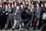 Remembrance Sunday 2012 Cenotaph March Past: Group B15 - 43rd Reconnaissance Regiment Old Comrades Association and B16 - Army Dog Unit Northern Ireland Association..
Whitehall, Cenotaph,
London SW1,

United Kingdom,
on 11 November 2012 at 11:57, image #906
