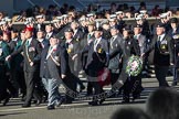 Remembrance Sunday 2012 Cenotaph March Past: Group B15 - 43rd Reconnaissance Regiment Old Comrades Association and B16 - Army Dog Unit Northern Ireland Association..
Whitehall, Cenotaph,
London SW1,

United Kingdom,
on 11 November 2012 at 11:57, image #907
