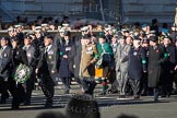 Remembrance Sunday 2012 Cenotaph March Past: Group B16 - Army Dog Unit Northern Ireland Association and B17 - North Irish Horse & Irish Regiments Old Comrades Association..
Whitehall, Cenotaph,
London SW1,

United Kingdom,
on 11 November 2012 at 11:57, image #909