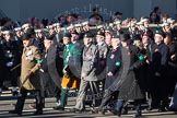 Remembrance Sunday 2012 Cenotaph March Past: Group B17 - North Irish Horse & Irish Regiments Old Comrades Association..
Whitehall, Cenotaph,
London SW1,

United Kingdom,
on 11 November 2012 at 11:57, image #914