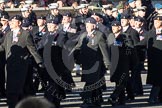 Remembrance Sunday 2012 Cenotaph March Past: Group B24 - 3rd Regiment Royal Horse Artillery Association..
Whitehall, Cenotaph,
London SW1,

United Kingdom,
on 11 November 2012 at 11:58, image #967