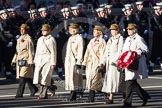 Remembrance Sunday 2012 Cenotaph March Past: Group D3 - First Aid Nursing Yeomanry (Princess Royal's Volunteers Corps)..
Whitehall, Cenotaph,
London SW1,

United Kingdom,
on 11 November 2012 at 12:05, image #1243