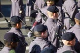 Remembrance Sunday 2012 Cenotaph March Past: Close-up of guards about to march off, bayonets mounted..
Whitehall, Cenotaph,
London SW1,

United Kingdom,
on 11 November 2012 at 12:29, image #1797