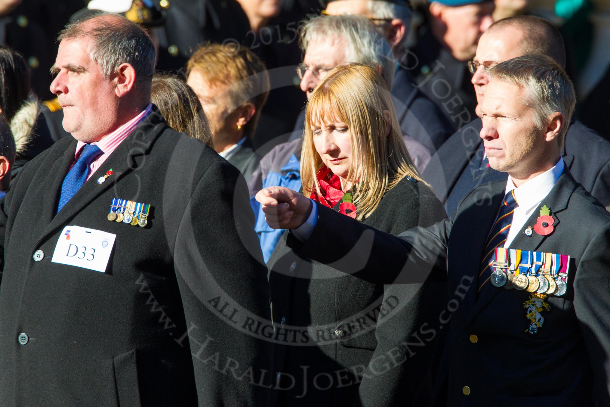 Remembrance Sunday Cenotaph March Past 2013: D33 - Combat Stress..
Press stand opposite the Foreign Office building, Whitehall, London SW1,
London,
Greater London,
United Kingdom,
on 10 November 2013 at 11:43, image #307