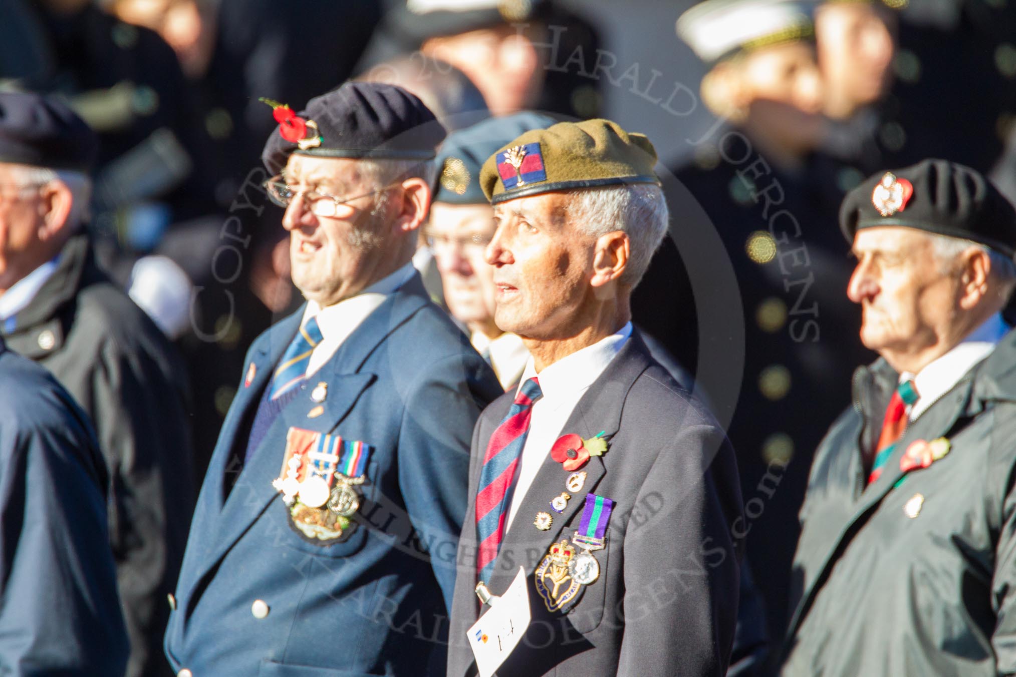 Remembrance Sunday Cenotaph March Past 2013: F4 - National Service Veterans Alliance..
Press stand opposite the Foreign Office building, Whitehall, London SW1,
London,
Greater London,
United Kingdom,
on 10 November 2013 at 11:50, image #767