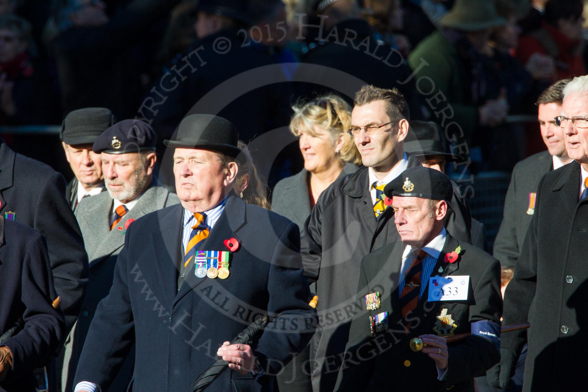 Remembrance Sunday Cenotaph March Past 2013: A33 - Royal Sussex Regimental Association..
Press stand opposite the Foreign Office building, Whitehall, London SW1,
London,
Greater London,
United Kingdom,
on 10 November 2013 at 11:58, image #1287