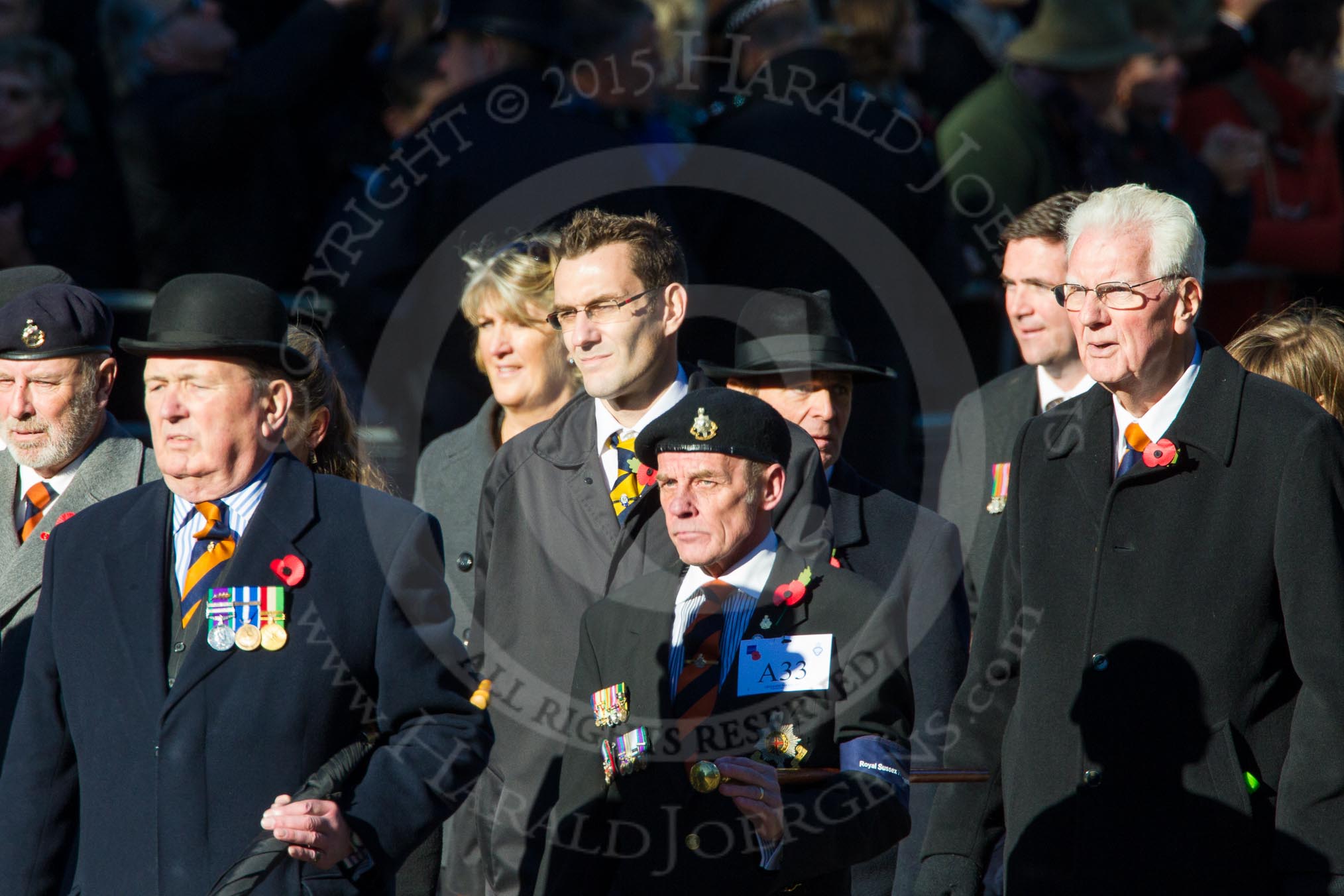 Remembrance Sunday Cenotaph March Past 2013: A33 - Royal Sussex Regimental Association..
Press stand opposite the Foreign Office building, Whitehall, London SW1,
London,
Greater London,
United Kingdom,
on 10 November 2013 at 11:58, image #1288