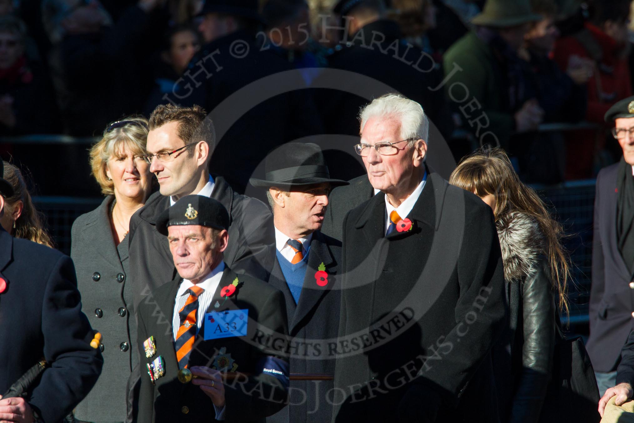 Remembrance Sunday Cenotaph March Past 2013: A33 - Royal Sussex Regimental Association..
Press stand opposite the Foreign Office building, Whitehall, London SW1,
London,
Greater London,
United Kingdom,
on 10 November 2013 at 11:58, image #1289