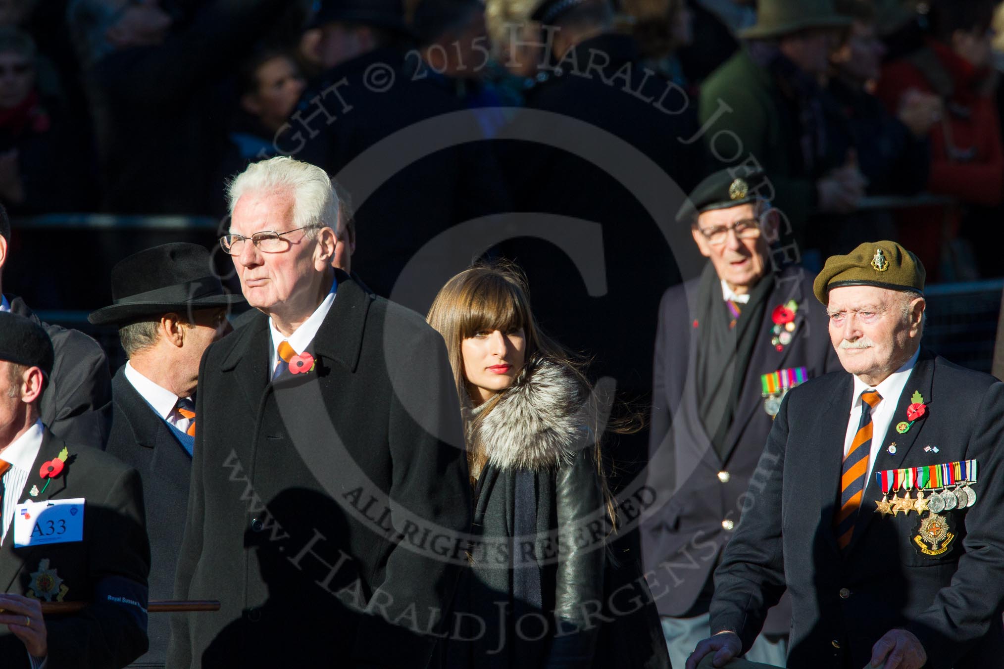 Remembrance Sunday Cenotaph March Past 2013: A33 - Royal Sussex Regimental Association..
Press stand opposite the Foreign Office building, Whitehall, London SW1,
London,
Greater London,
United Kingdom,
on 10 November 2013 at 11:58, image #1290