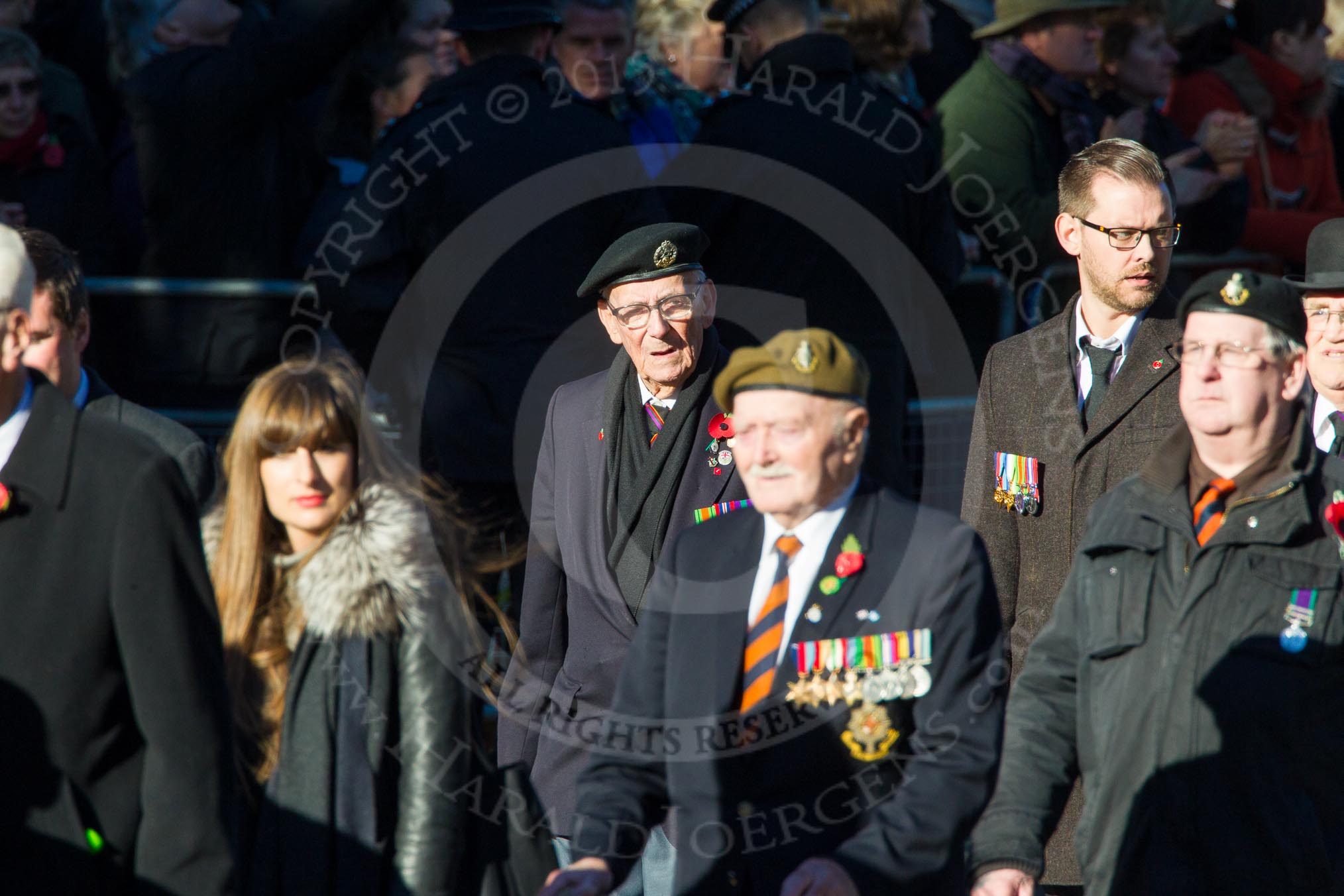 Remembrance Sunday Cenotaph March Past 2013: A33 - Royal Sussex Regimental Association..
Press stand opposite the Foreign Office building, Whitehall, London SW1,
London,
Greater London,
United Kingdom,
on 10 November 2013 at 11:58, image #1292