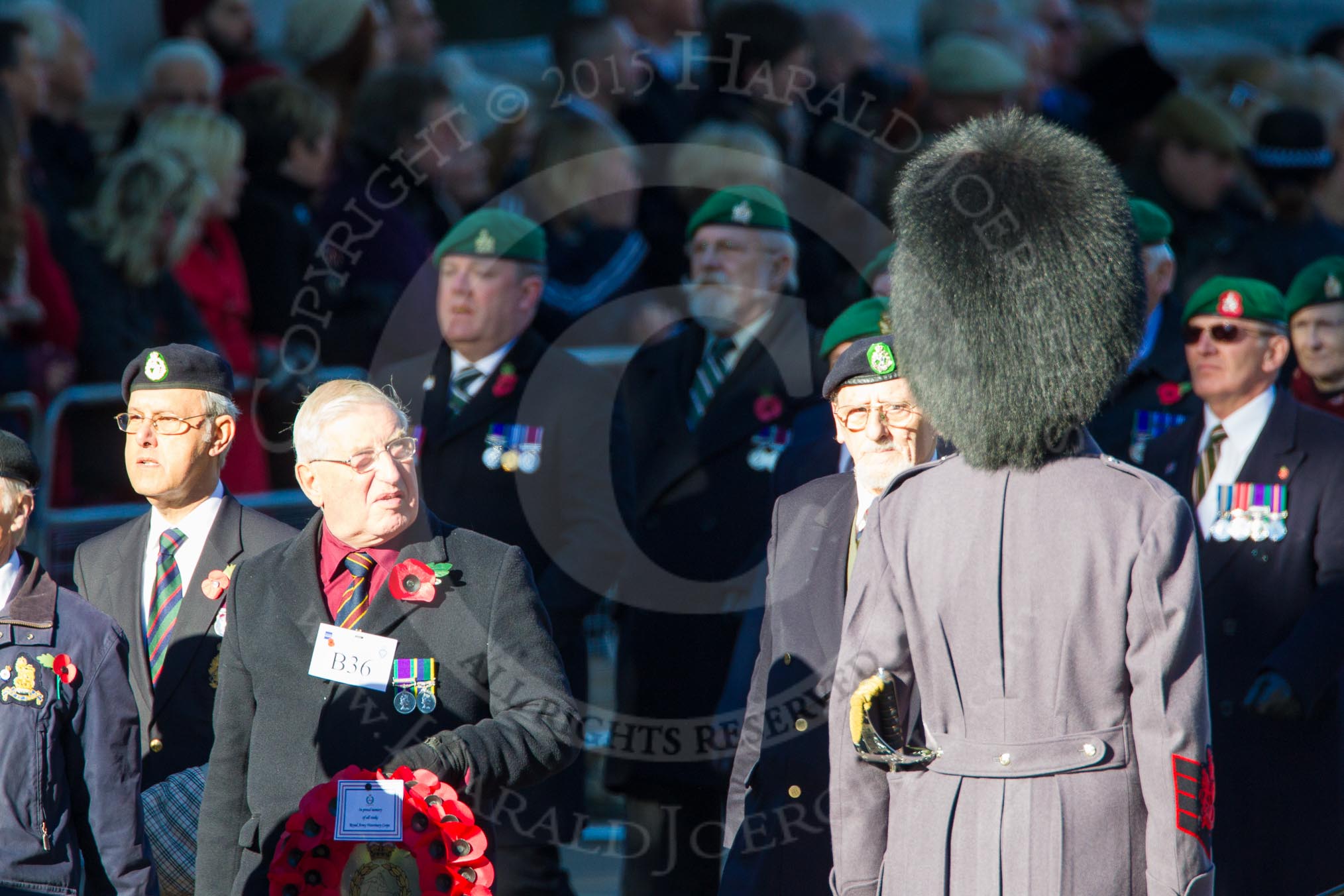 Remembrance Sunday Cenotaph March Past 2013: B36 - Royal Army Veterinary Corps & Royal Army Dental Corps..
Press stand opposite the Foreign Office building, Whitehall, London SW1,
London,
Greater London,
United Kingdom,
on 10 November 2013 at 12:04, image #1610