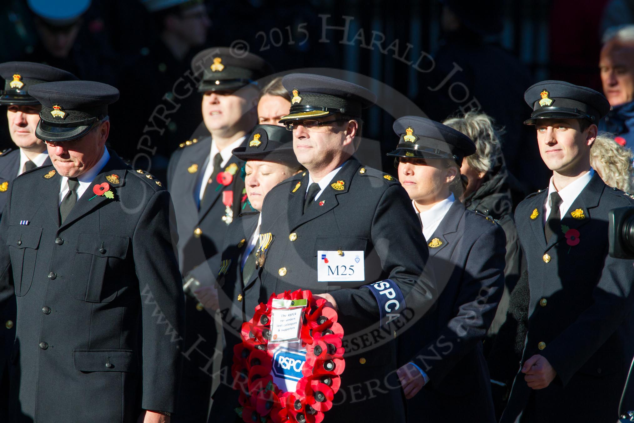 Remembrance Sunday Cenotaph March Past 2013: M25 - Royal Society for the Prevention of Cruelty to Animals..
Press stand opposite the Foreign Office building, Whitehall, London SW1,
London,
Greater London,
United Kingdom,
on 10 November 2013 at 12:12, image #2072