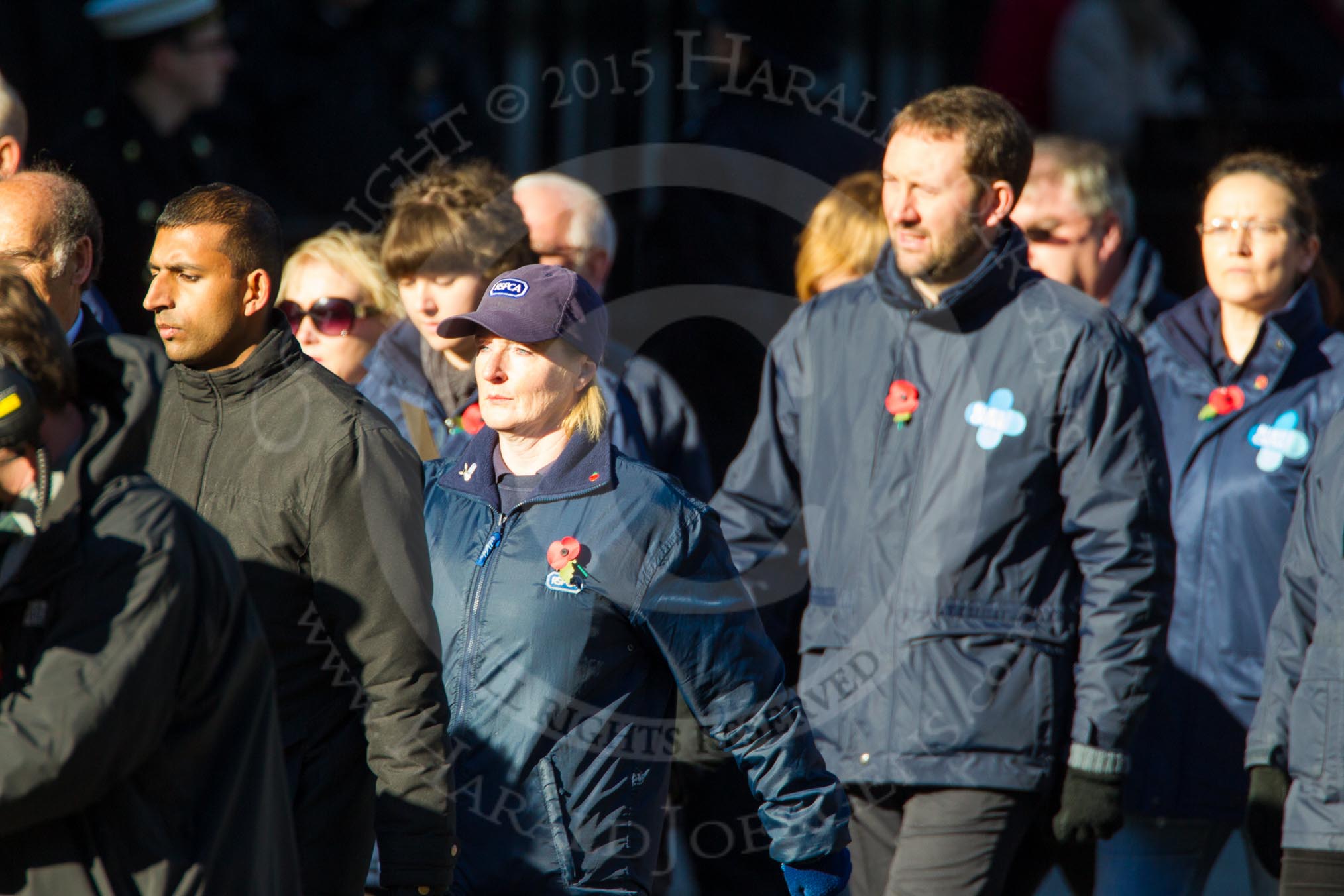 Remembrance Sunday Cenotaph March Past 2013: M25 - Royal Society for the Prevention of Cruelty to Animals..
Press stand opposite the Foreign Office building, Whitehall, London SW1,
London,
Greater London,
United Kingdom,
on 10 November 2013 at 12:12, image #2075