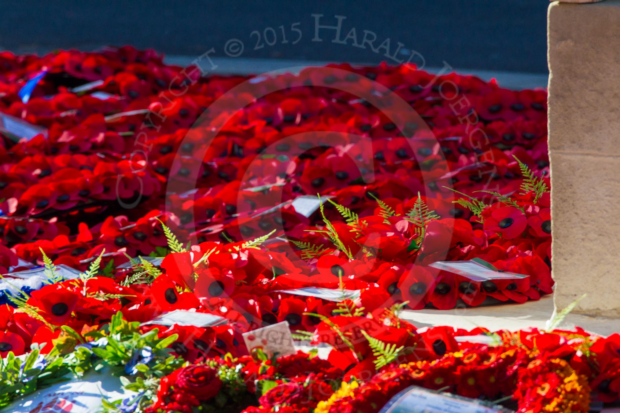 Remembrance Sunday Cenotaph March Past 2013.
Press stand opposite the Foreign Office building, Whitehall, London SW1,
London,
Greater London,
United Kingdom,
on 10 November 2013 at 12:24, image #2353