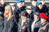 Remembrance Sunday Cenotaph March Past 2013: D1 - War Widows Association. The lady with the chain a black hat with the poppy in it is Chairman Rosalind Campbell. On the right, with the red fur round her hat, is President Baroness Janet Fookes. The lady on the left, with the long blond hair is, Lesley-Ann George-Taylor, Chairman of the Royal Navy and Royal Marines Widows Association.
Press stand opposite the Foreign Office building, Whitehall, London SW1,
London,
Greater London,
United Kingdom,
on 10 November 2013 at 11:38, image #18