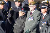 Remembrance Sunday Cenotaph March Past 2013.
Press stand opposite the Foreign Office building, Whitehall, London SW1,
London,
Greater London,
United Kingdom,
on 10 November 2013 at 11:40, image #125