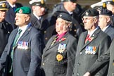 Remembrance Sunday Cenotaph March Past 2013: D18 - the Northrn Ireland Veterans' Association  with 42 marchers, or D19 - the Irish United Nations Veterans Association with 12 marchers, more information would be appreciated!.
Press stand opposite the Foreign Office building, Whitehall, London SW1,
London,
Greater London,
United Kingdom,
on 10 November 2013 at 11:40, image #142