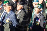 Remembrance Sunday Cenotaph March Past 2013: D18 - the Northrn Ireland Veterans' Association  with 42 marchers, or D19 - the Irish United Nations Veterans Association with 12 marchers, more information would be appreciated!.
Press stand opposite the Foreign Office building, Whitehall, London SW1,
London,
Greater London,
United Kingdom,
on 10 November 2013 at 11:40, image #146