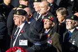 Remembrance Sunday Cenotaph March Past 2013: E8 - Fleet Air Arm Armourers Association..
Press stand opposite the Foreign Office building, Whitehall, London SW1,
London,
Greater London,
United Kingdom,
on 10 November 2013 at 11:45, image #428