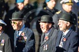 Remembrance Sunday Cenotaph March Past 2013: E13 - Fleet Air Arm Officers Association..
Press stand opposite the Foreign Office building, Whitehall, London SW1,
London,
Greater London,
United Kingdom,
on 10 November 2013 at 11:46, image #475