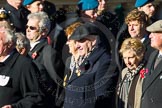 Remembrance Sunday Cenotaph March Past 2013: F18 - Showmens' Guild of Great Britain..
Press stand opposite the Foreign Office building, Whitehall, London SW1,
London,
Greater London,
United Kingdom,
on 10 November 2013 at 11:52, image #934