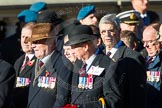 Remembrance Sunday Cenotaph March Past 2013: F19 - Queen's Bodyguard of The Yeoman of The Guard..
Press stand opposite the Foreign Office building, Whitehall, London SW1,
London,
Greater London,
United Kingdom,
on 10 November 2013 at 11:53, image #945