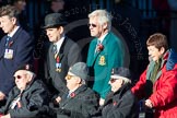 Remembrance Sunday Cenotaph March Past 2013.
Press stand opposite the Foreign Office building, Whitehall, London SW1,
London,
Greater London,
United Kingdom,
on 10 November 2013 at 11:54, image #1004