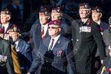 Remembrance Sunday Cenotaph March Past 2013.
Press stand opposite the Foreign Office building, Whitehall, London SW1,
London,
Greater London,
United Kingdom,
on 10 November 2013 at 11:57, image #1181