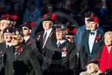 Remembrance Sunday Cenotaph March Past 2013.
Press stand opposite the Foreign Office building, Whitehall, London SW1,
London,
Greater London,
United Kingdom,
on 10 November 2013 at 11:57, image #1203