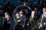 Remembrance Sunday Cenotaph March Past 2013: B18 - 3rd Regiment Royal Horse Artillery Association..
Press stand opposite the Foreign Office building, Whitehall, London SW1,
London,
Greater London,
United Kingdom,
on 10 November 2013 at 12:01, image #1448