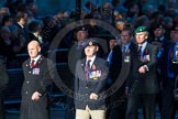 Remembrance Sunday Cenotaph March Past 2013: B20 - Royal Engineers Association..
Press stand opposite the Foreign Office building, Whitehall, London SW1,
London,
Greater London,
United Kingdom,
on 10 November 2013 at 12:02, image #1466