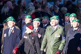 Remembrance Sunday Cenotaph March Past 2013: B37 - Intelligence Corps Association..
Press stand opposite the Foreign Office building, Whitehall, London SW1,
London,
Greater London,
United Kingdom,
on 10 November 2013 at 12:04, image #1617