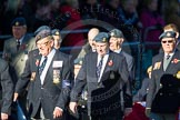 Remembrance Sunday Cenotaph March Past 2013: C14 - RAF Habbaniya Association..
Press stand opposite the Foreign Office building, Whitehall, London SW1,
London,
Greater London,
United Kingdom,
on 10 November 2013 at 12:07, image #1795