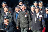 Remembrance Sunday Cenotaph March Past 2013: C15 - Royal Air Force & Defence Fire Services Association..
Press stand opposite the Foreign Office building, Whitehall, London SW1,
London,
Greater London,
United Kingdom,
on 10 November 2013 at 12:07, image #1803
