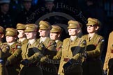 Remembrance Sunday Cenotaph March Past 2013: M2 - First Aid Nursing Yeomanry (Princess Royal's Volunteers Corps)..
Press stand opposite the Foreign Office building, Whitehall, London SW1,
London,
Greater London,
United Kingdom,
on 10 November 2013 at 12:09, image #1869