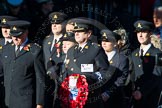 Remembrance Sunday Cenotaph March Past 2013: M25 - Royal Society for the Prevention of Cruelty to Animals..
Press stand opposite the Foreign Office building, Whitehall, London SW1,
London,
Greater London,
United Kingdom,
on 10 November 2013 at 12:12, image #2072