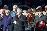 Remembrance Sunday Cenotaph March Past 2013: M41 - Rotary International..
Press stand opposite the Foreign Office building, Whitehall, London SW1,
London,
Greater London,
United Kingdom,
on 10 November 2013 at 12:14, image #2193