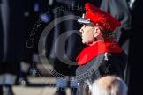 HRH The Earl of Wessex, saluting in respect after having laid his wreath at the Cenotaph.