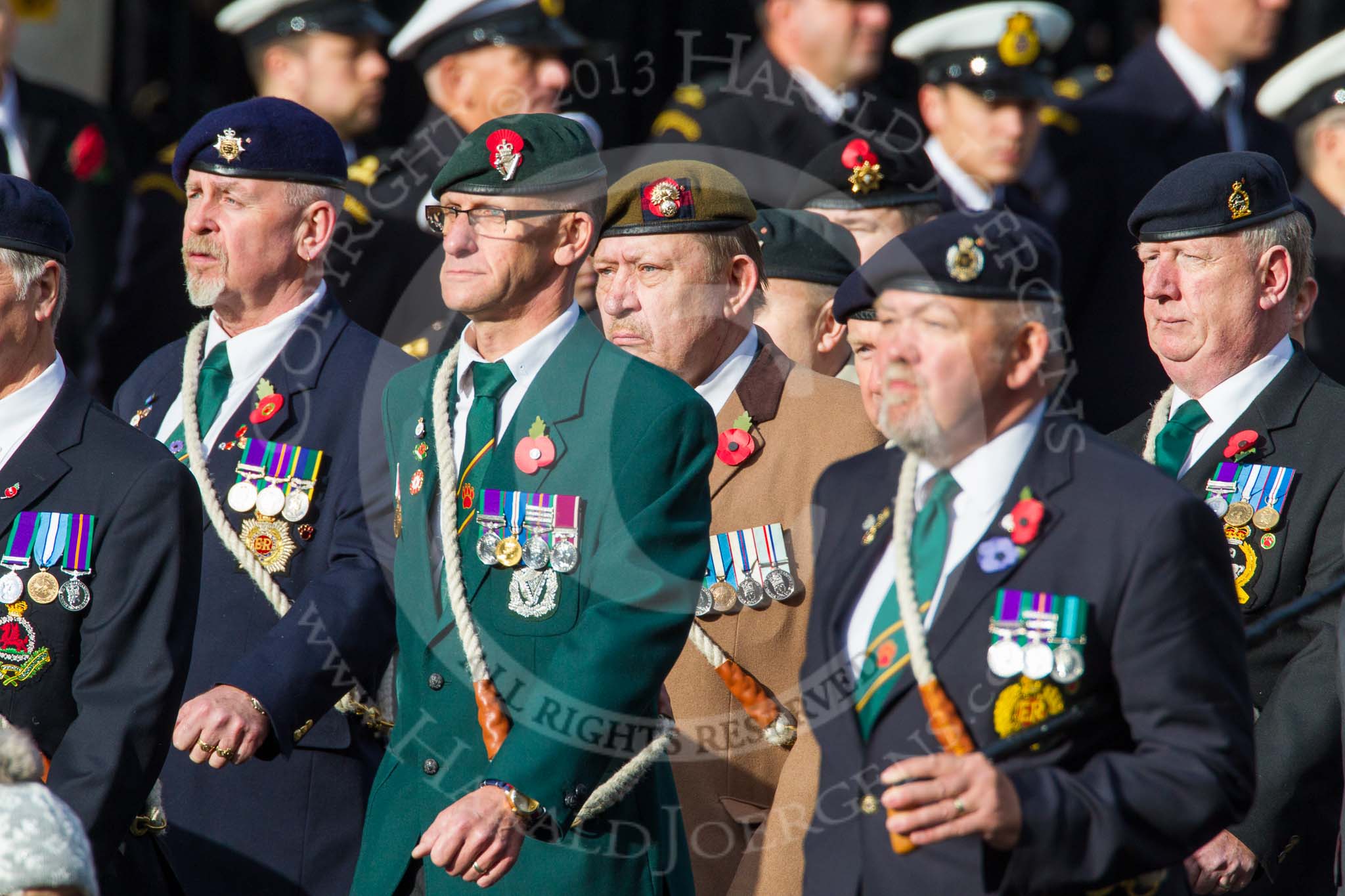 Remembrance Sunday at the Cenotaph in London 2014: Group D11 - Army Dog Unit Northern Ireland Association.
Press stand opposite the Foreign Office building, Whitehall, London SW1,
London,
Greater London,
United Kingdom,
on 09 November 2014 at 11:44, image #350