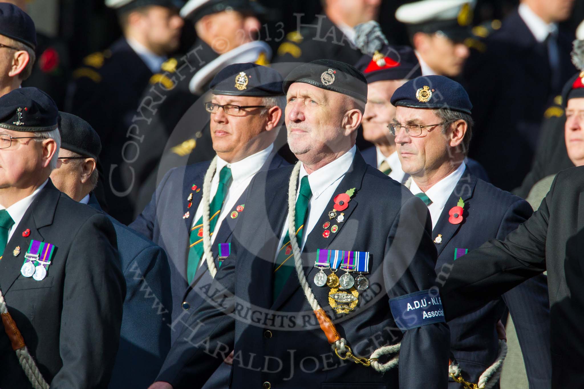 Remembrance Sunday at the Cenotaph in London 2014: Group D11 - Army Dog Unit Northern Ireland Association.
Press stand opposite the Foreign Office building, Whitehall, London SW1,
London,
Greater London,
United Kingdom,
on 09 November 2014 at 11:44, image #353