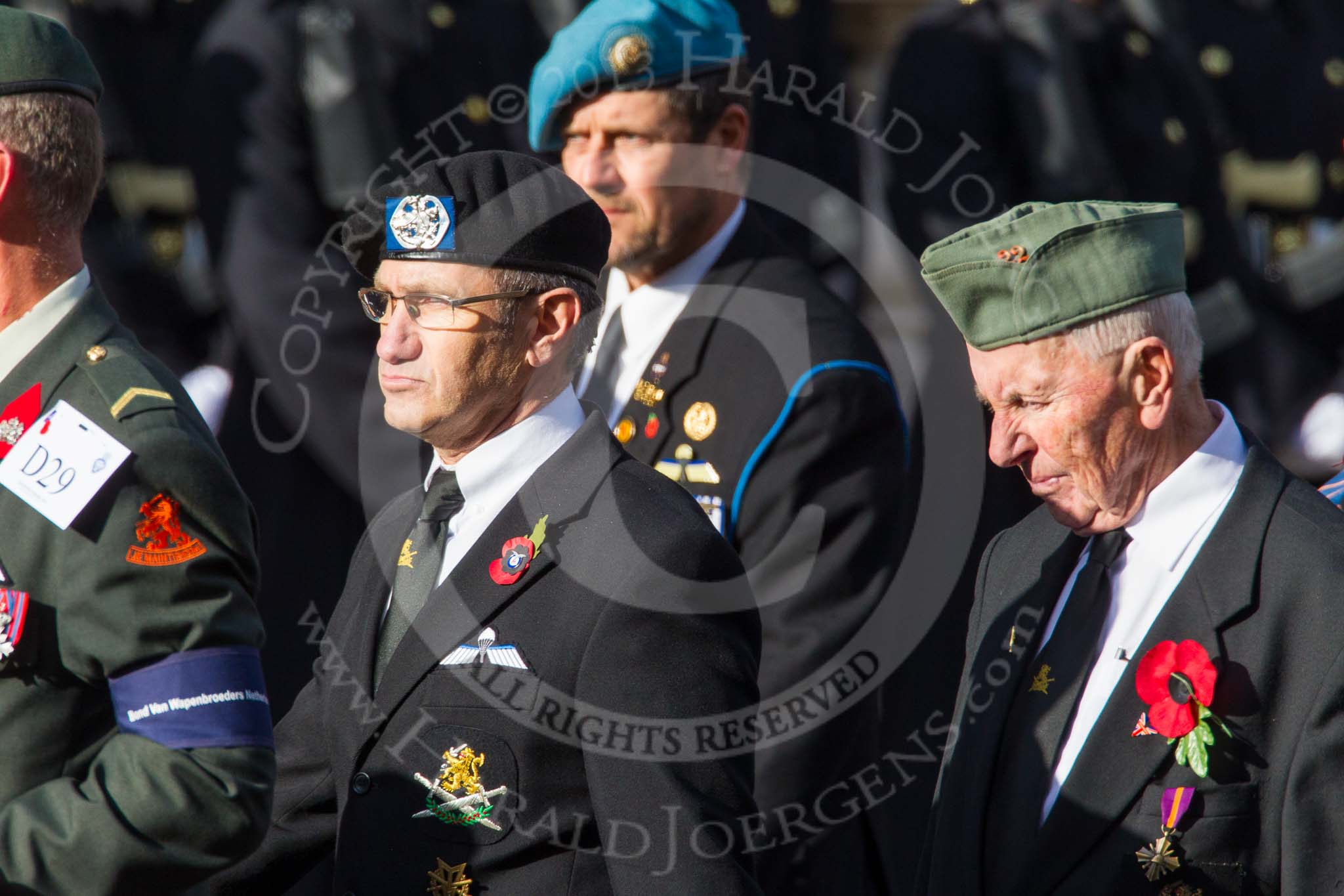 Remembrance Sunday at the Cenotaph in London 2014: Group D29 - Bond Van Wapenbroeders.
Press stand opposite the Foreign Office building, Whitehall, London SW1,
London,
Greater London,
United Kingdom,
on 09 November 2014 at 11:48, image #514