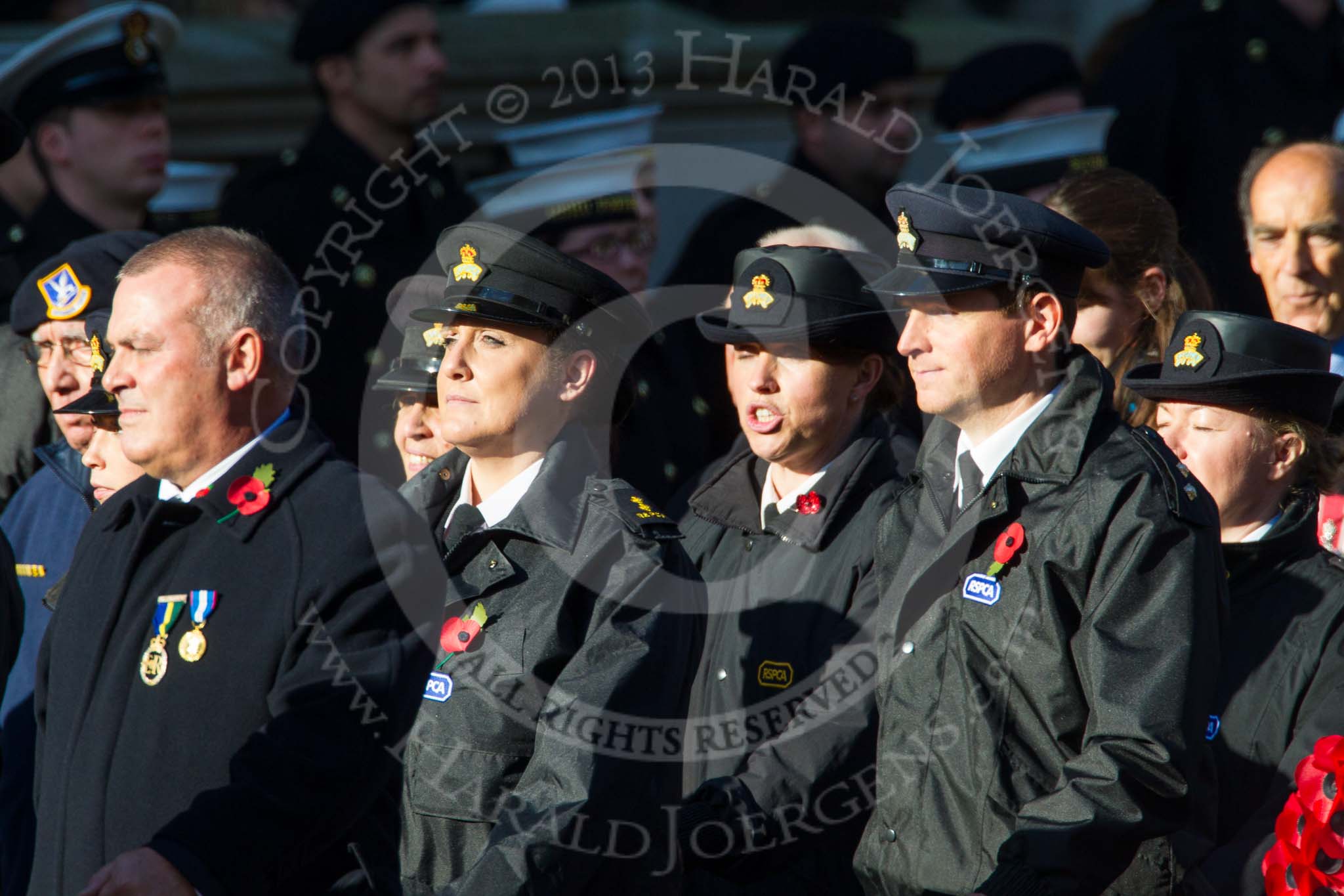 Remembrance Sunday at the Cenotaph in London 2014: Group M25 - Royal Society for the Prevention of Cruelty to Animals (RSPCA).
Press stand opposite the Foreign Office building, Whitehall, London SW1,
London,
Greater London,
United Kingdom,
on 09 November 2014 at 12:18, image #2188